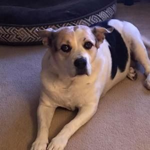 Meet your Posher, Joanne